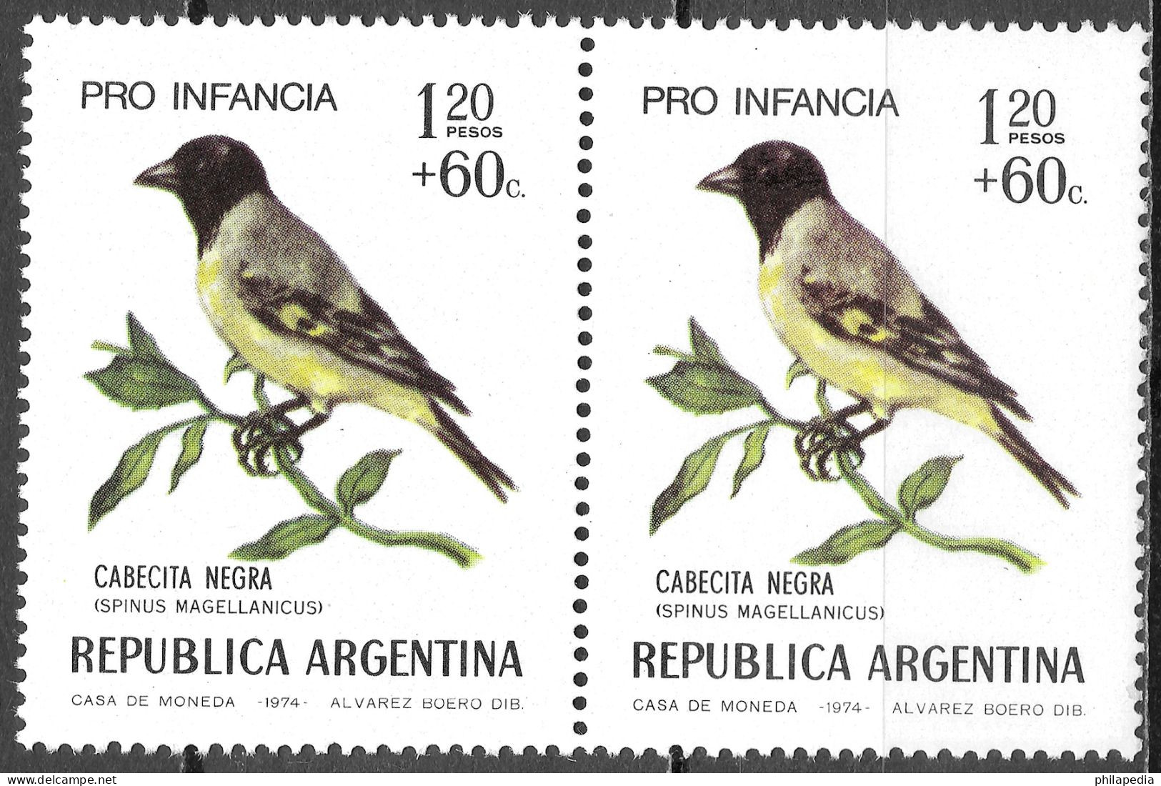 Argentine Football Oiseaux Passereaux Tyran Kamichi Merle Chardonneret Birds Finch Vögel Aves Chaja Uccelli ** 1972 50€