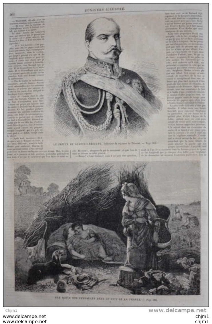 Le Prince De Savoie-Carignan - Une Scène Des Vendanges Dans La Midi De La France - Page Original 1860 - Historical Documents