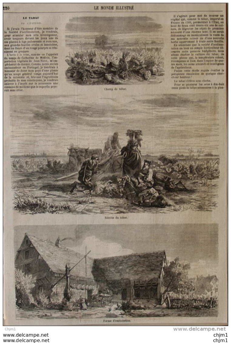 Manufacture Des Tabacs - Champ De Tabac - Récolte Du Tabac - Ferme D'exploitation - Page Original 1860 - Historische Dokumente