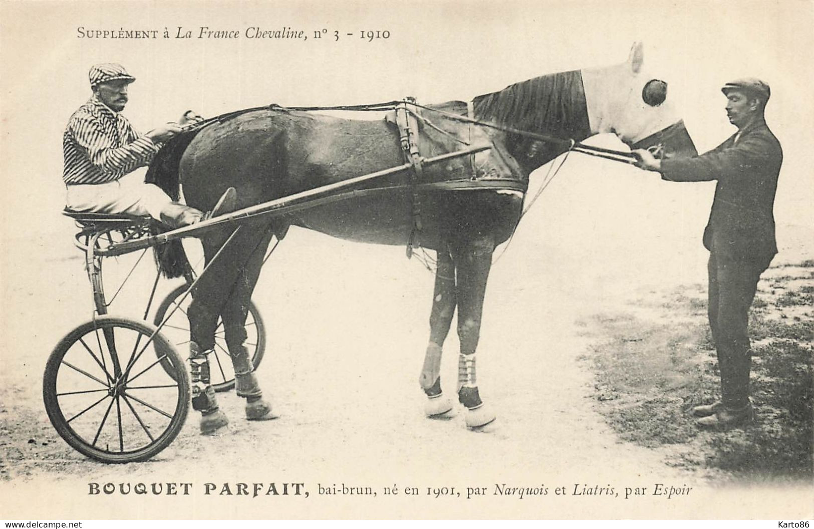 Hippisme * La France Chevaline N°3 1909 * Concours Centrale Hippique * Cheval BOUQUET PARFAIT Bai Brun Jockey - Hípica