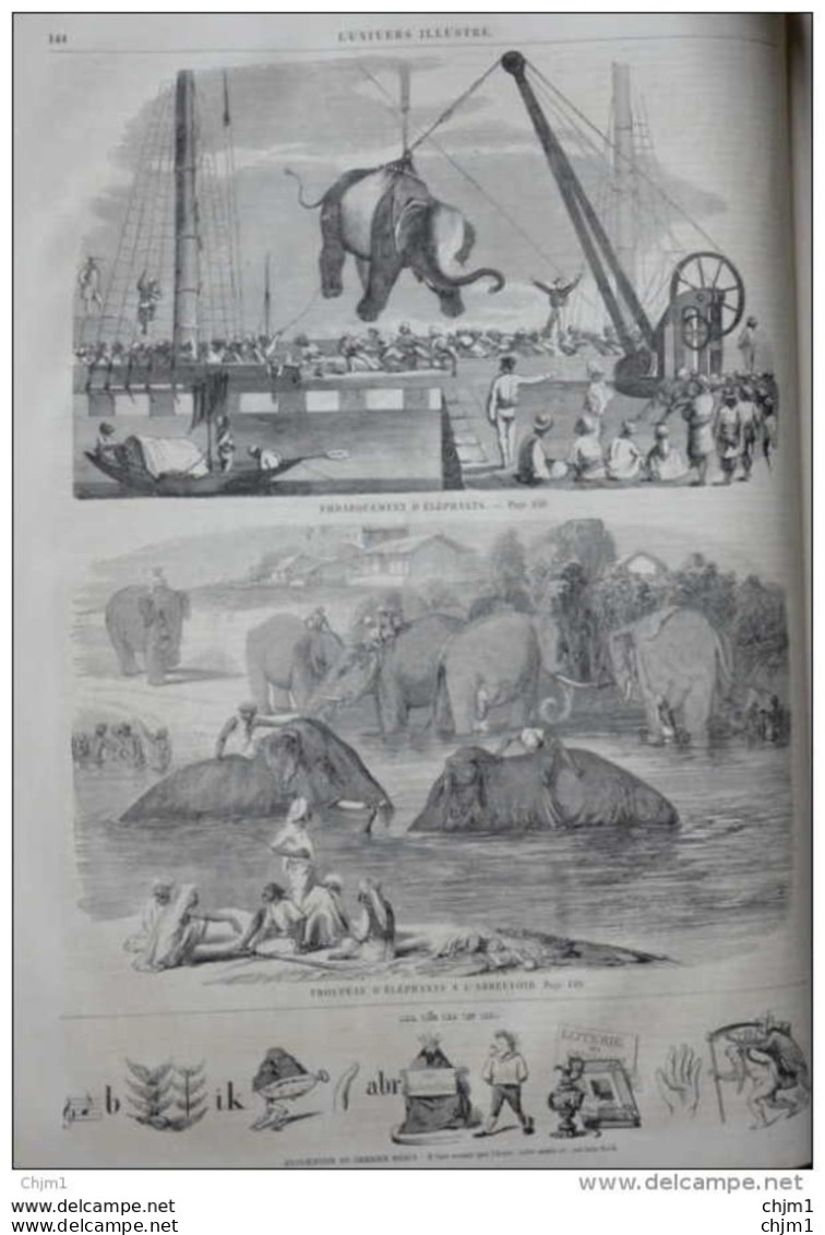 émbarquement D'éléphants - Troupeu D'éléphants à L'abreuvoir - Page Original 1860 - Documenti Storici