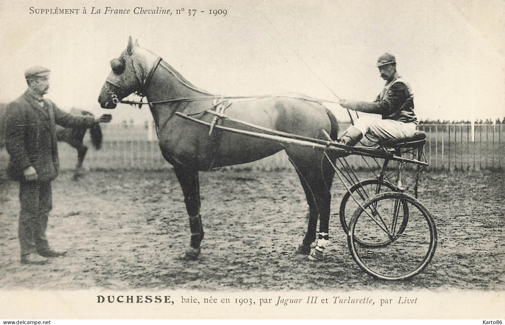 Hippisme * La France Chevaline N°37 1909 * Concours Centrale Hippique * Cheval DUCHESSE Baie Jockey - Horse Show