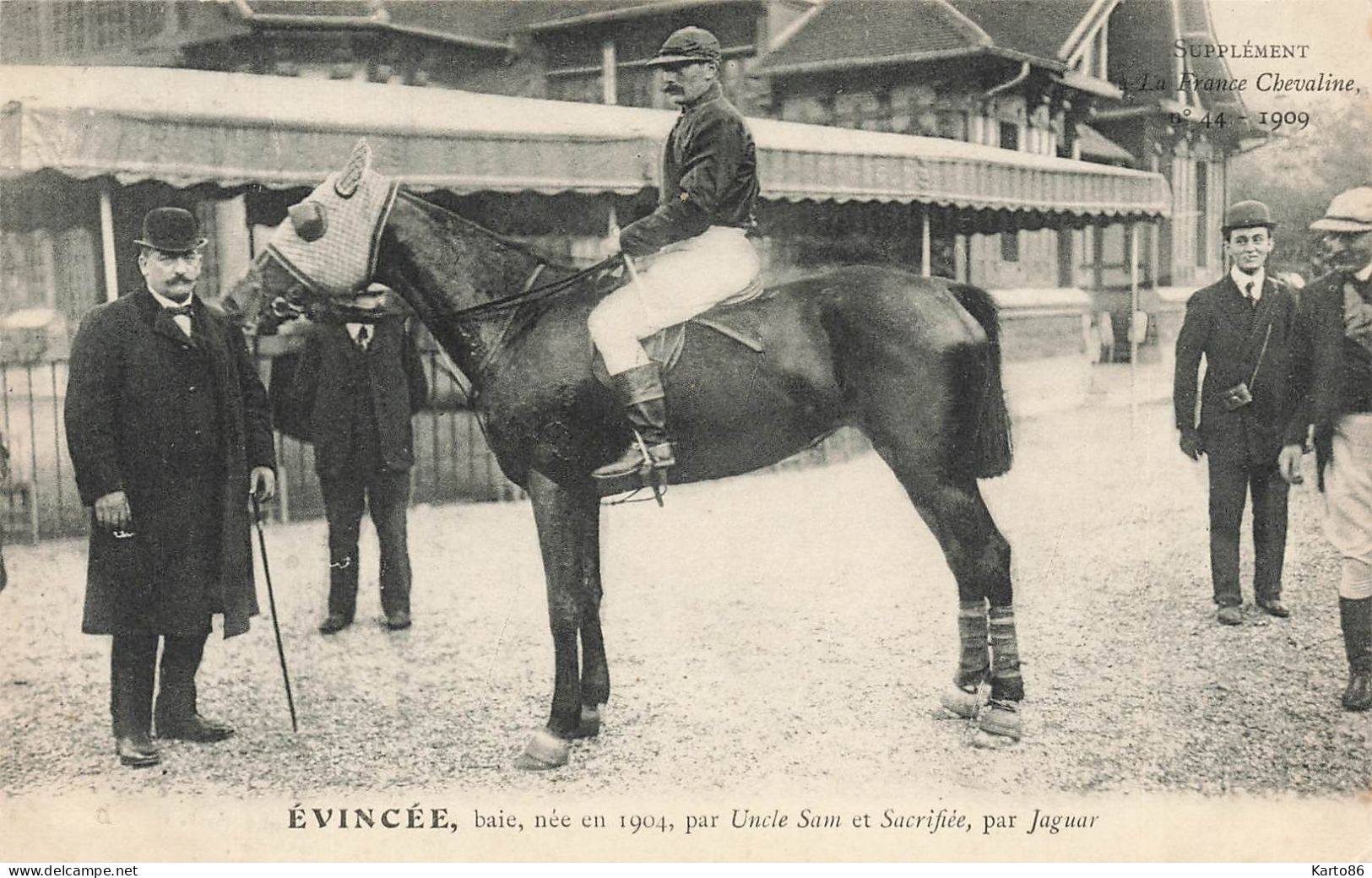 Hippisme * La France Chevaline N°44 1909 * Concours Centrale Hippique * Cheval EVINCEE Baie Jockey - Horse Show