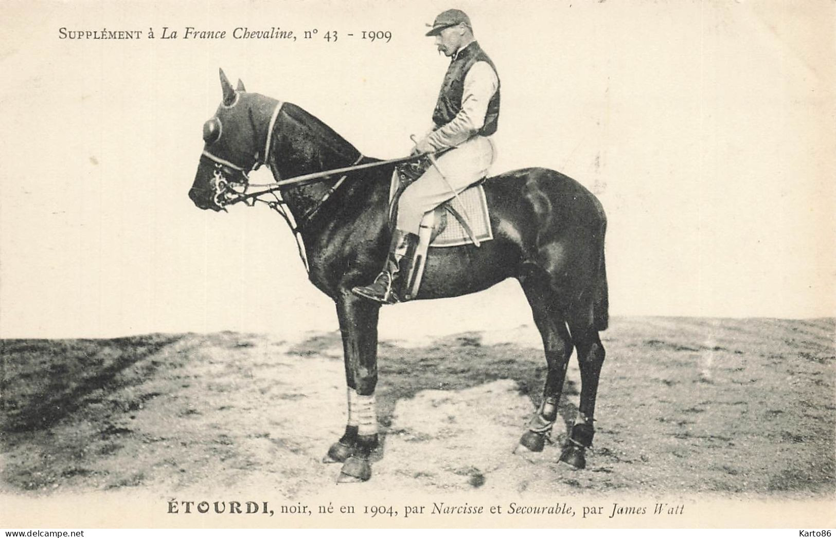 Hippisme * La France Chevaline N°43 1909 * Concours Centrale Hippique * Cheval ETOURDI Noir Jockey - Reitsport