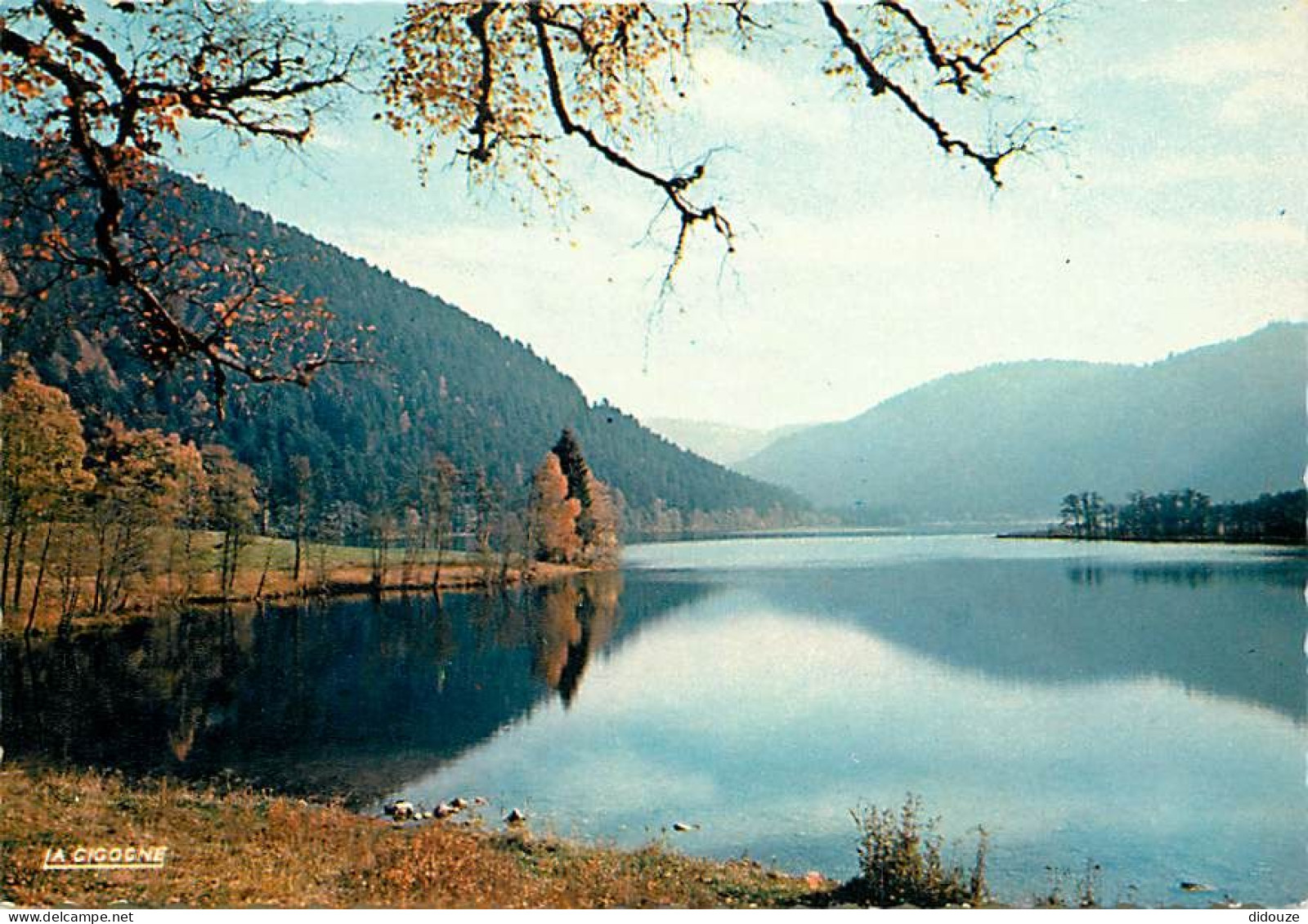 88 - Xonrupt-Longemer - Le Lac De Longemer - Carte Neuve - CPM - Voir Scans Recto-Verso - Xonrupt Longemer