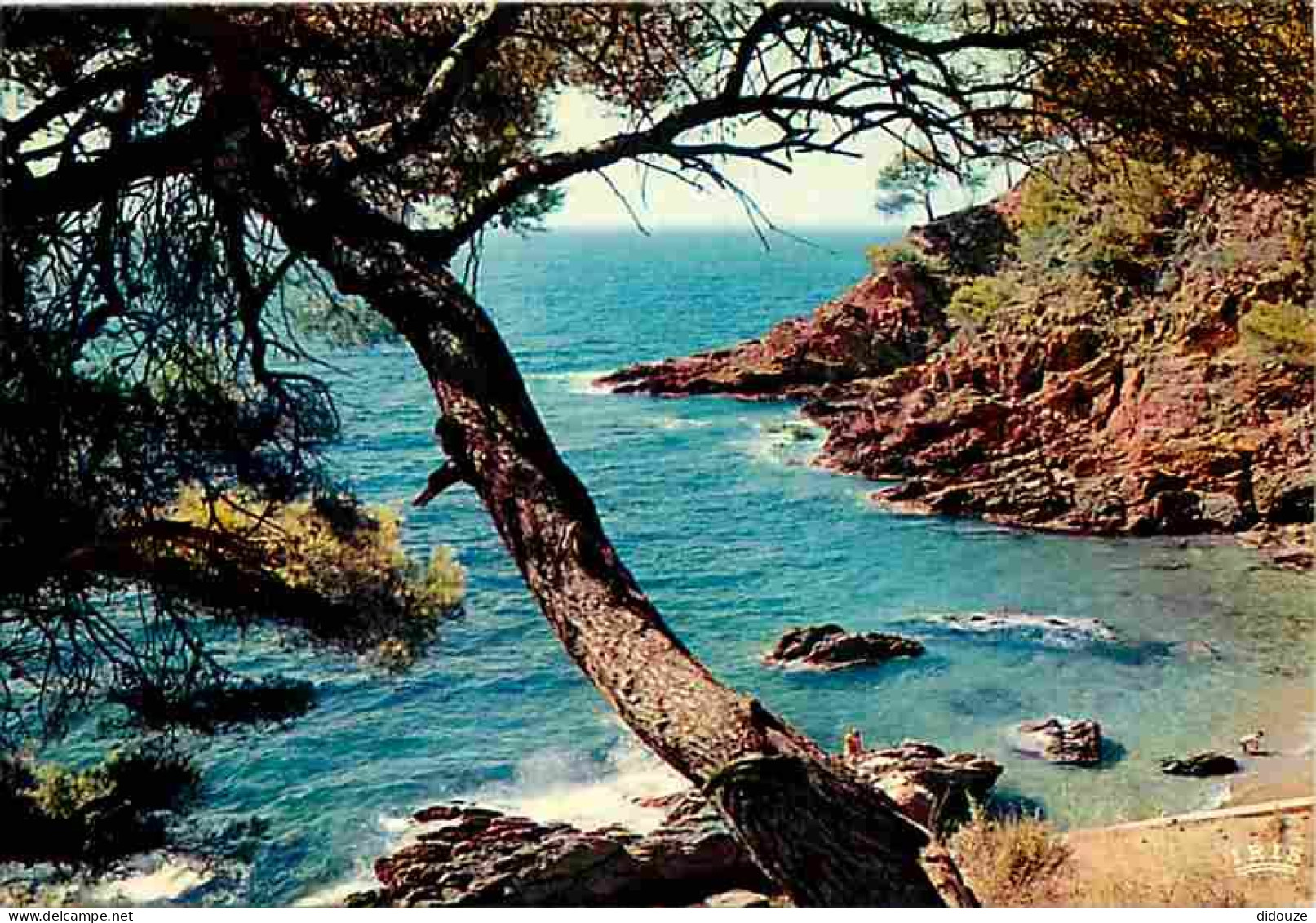 83 - Cavalaire Sur Mer - Falaises De La Vigie - CPM - Voir Scans Recto-Verso - Cavalaire-sur-Mer