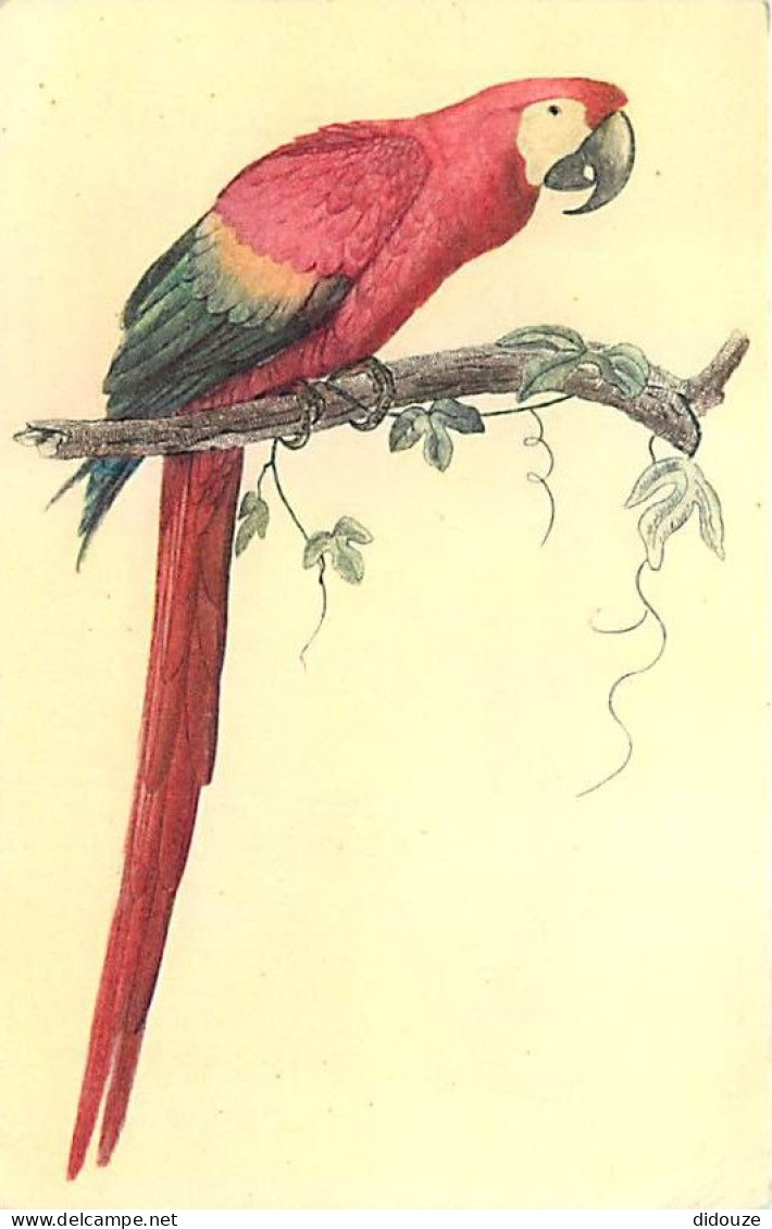 Animaux - Oiseaux - Perroquet - Ara Aracanga - Illustration - Dessin - CPSM Format CPA - Carte Neuve - Voir Scans Recto- - Oiseaux