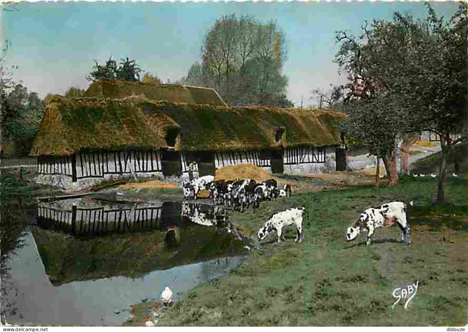 Animaux - Vaches - Normandie - Cour De Ferme - CPM - Voir Scans Recto-Verso - Vaches