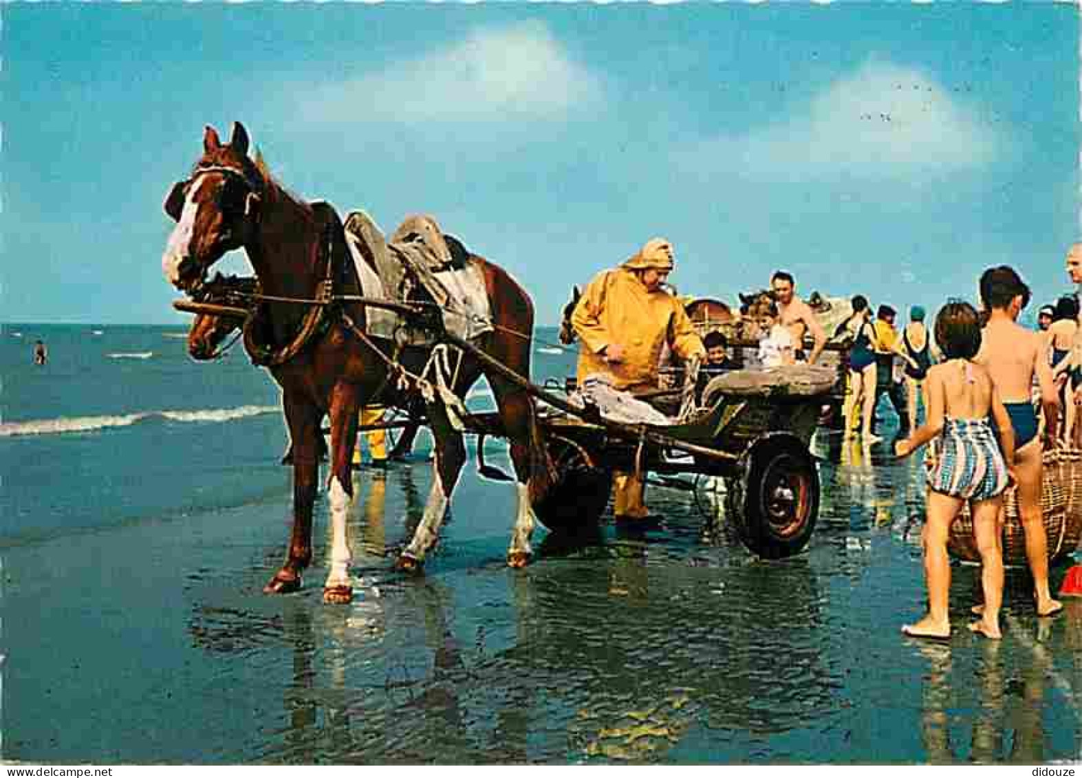 Animaux - Chevaux - Antwerpen - Home De Sinjoorkens - Oostduinkerke - CPM - Voir Scans Recto-Verso - Horses