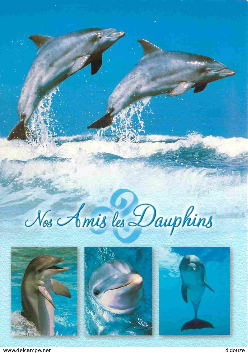 Animaux - Dauphin - Dolphin - CPM - Voir Scans Recto-Verso - Dauphins