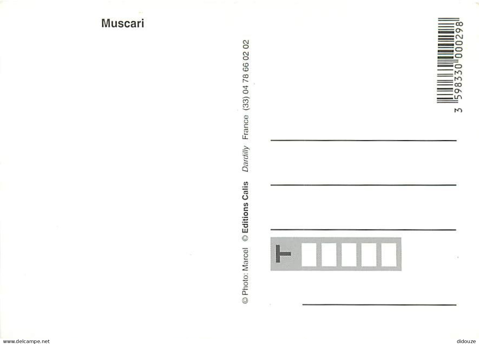 Fleurs - Carte Studio Marcel - CPM - Voir Scans Recto-Verso - Blumen
