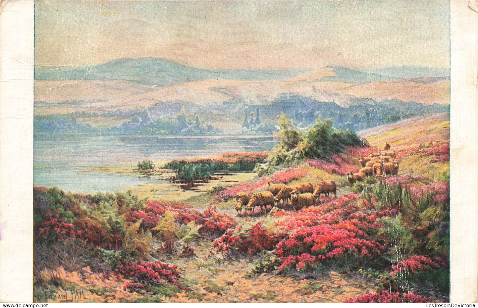 ILLUSTRATEUR - Édouard Pail - Paysage - Colorisé - Carte Postale - Andere & Zonder Classificatie