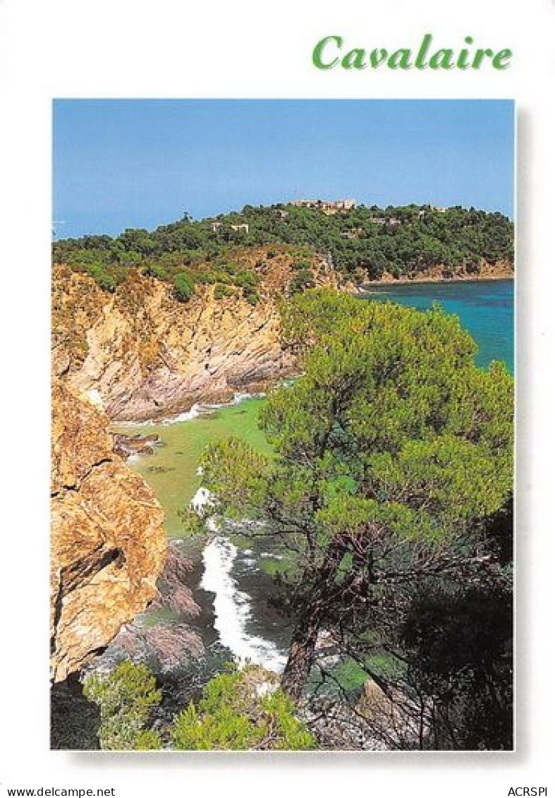 CAVALAIRE SUR MER Plage De Bonporteau  12  (scan Recto Verso)MD2502TER - Cavalaire-sur-Mer