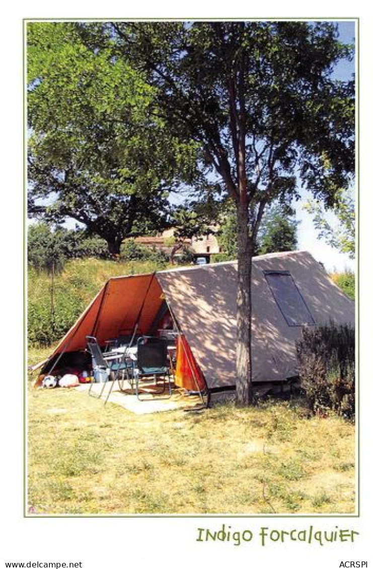 FORCALQUIER  Une Tente Du Camping Carte Vierge  8  (scan Recto Verso) MD2501BIS - Forcalquier