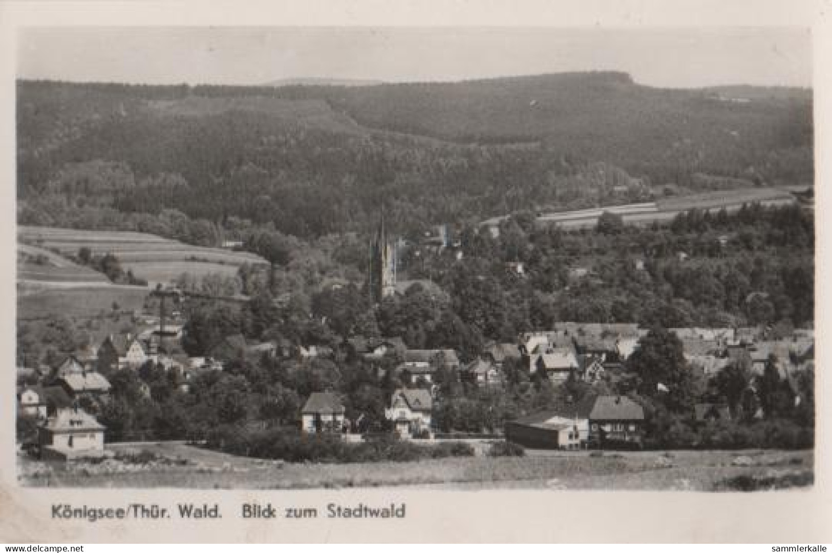 18319 - Königsee Thür. - Stadtwald - Ca. 1955 - Saalfeld