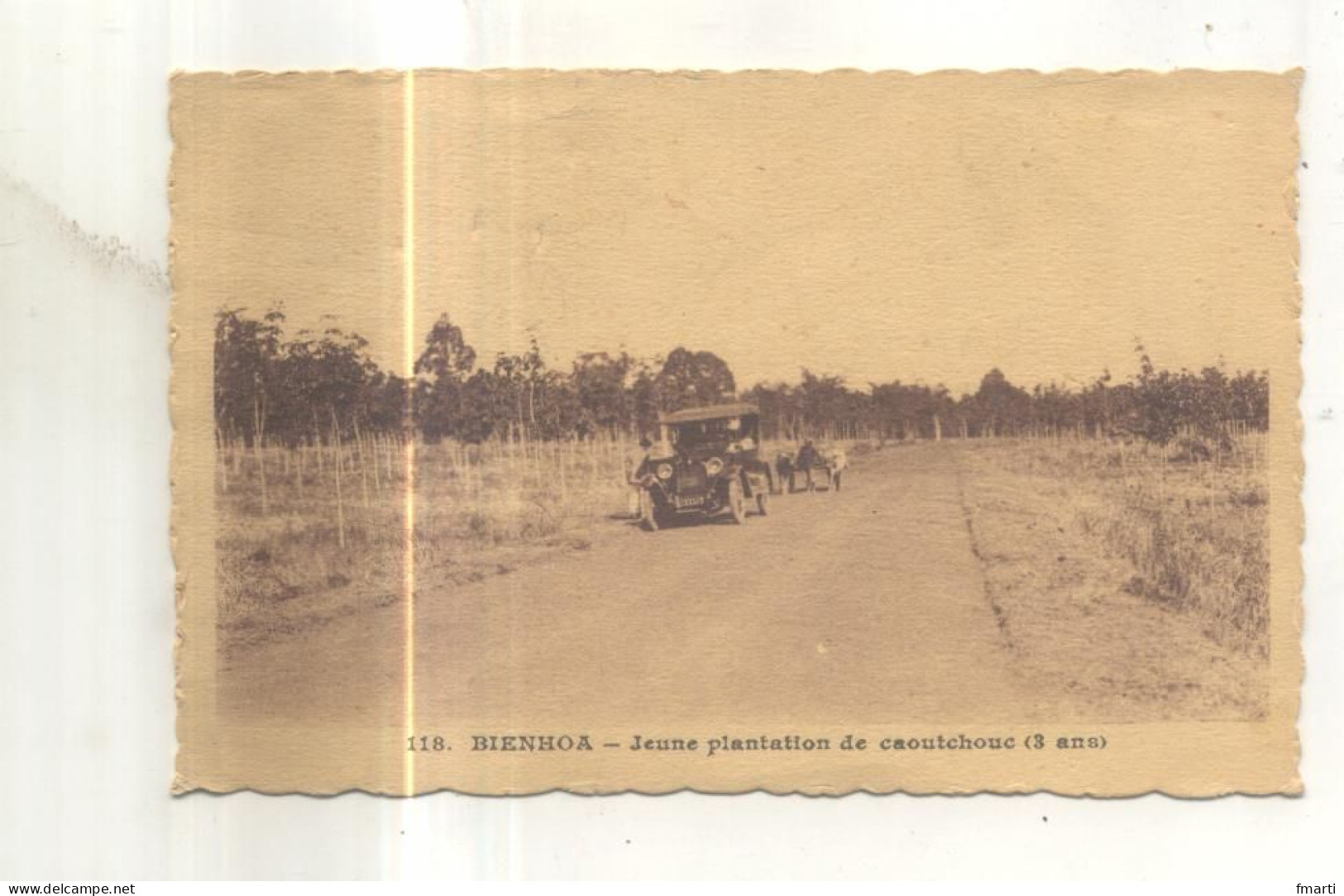 118. Bienhoa, Jeune Plantation De Caoutchouc (3 Ans) - Vietnam