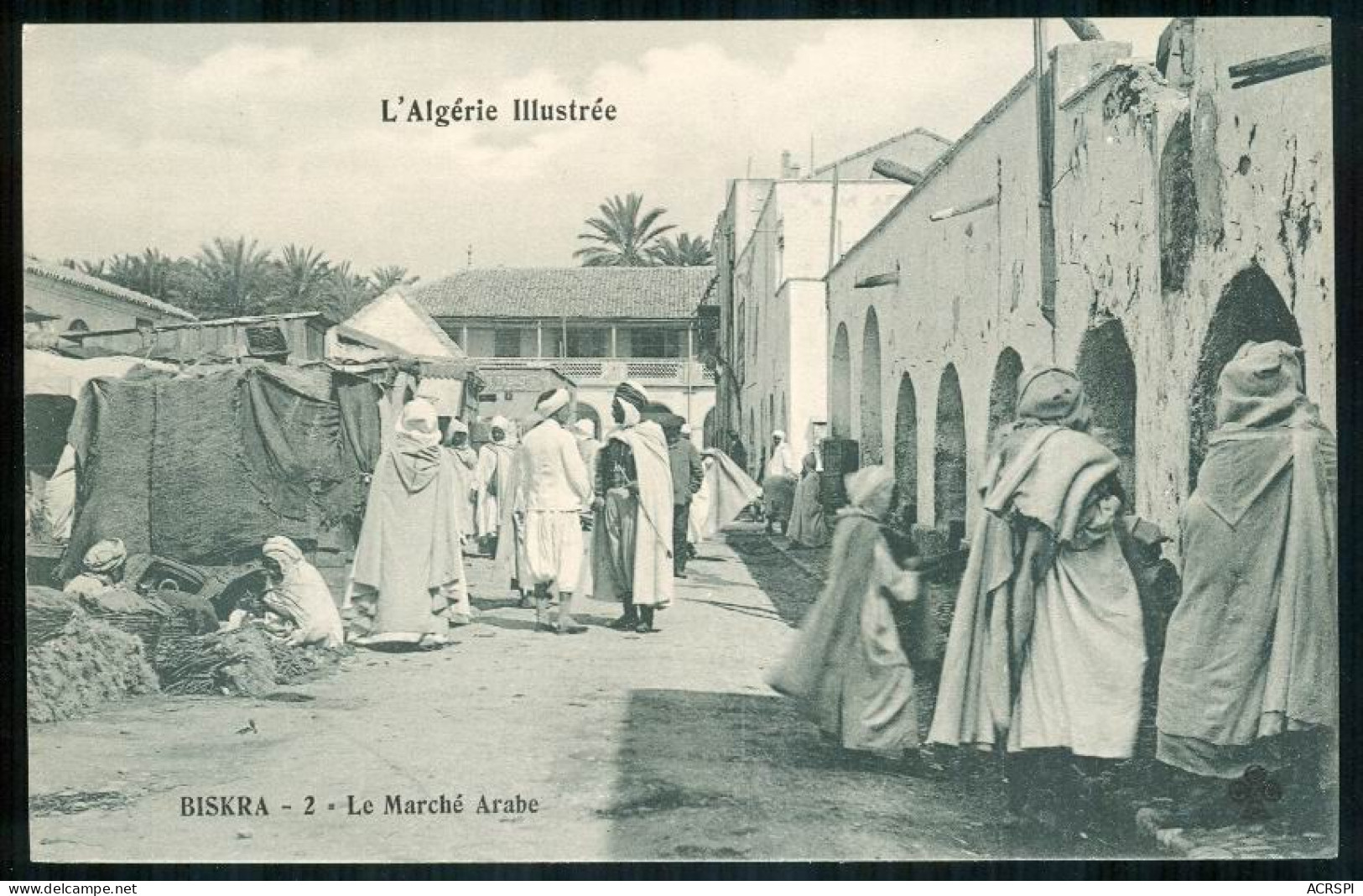 ALGERIE  BISKRA  Le Marché Arabe Carte Vierge Non Voyagée PFRCR00004 P - Biskra