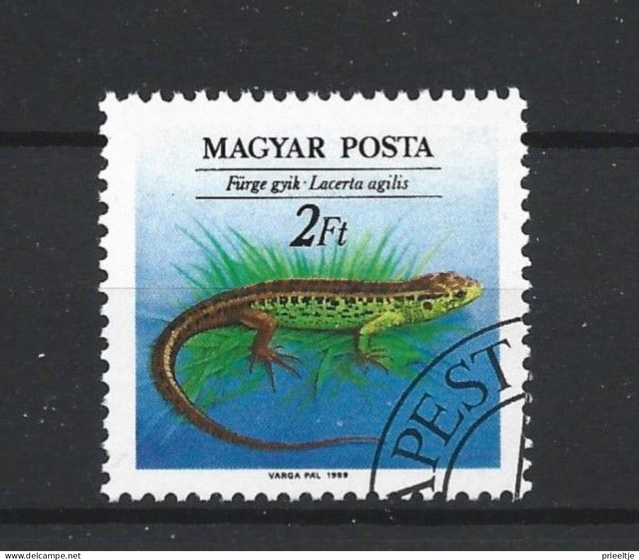 Hungary 1989 Reptile Y.T. 3223 (0) - Usado