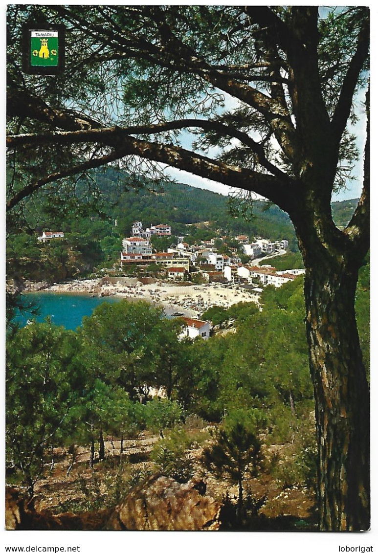 VISTA PARCIAL, DETALLE / PARTIAL VIEW, DETAIL.- COSTA BRAVA.- TAMARIU / GIRONA.- ( CATALUNYA ) - Gerona