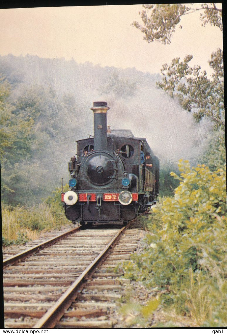 TRAINS ---  A.L.E.M.F. N°13 Le Train A Vapeur De Rabodeau Pendant Le Tournage Du Film " Le Mecreant " - Trains