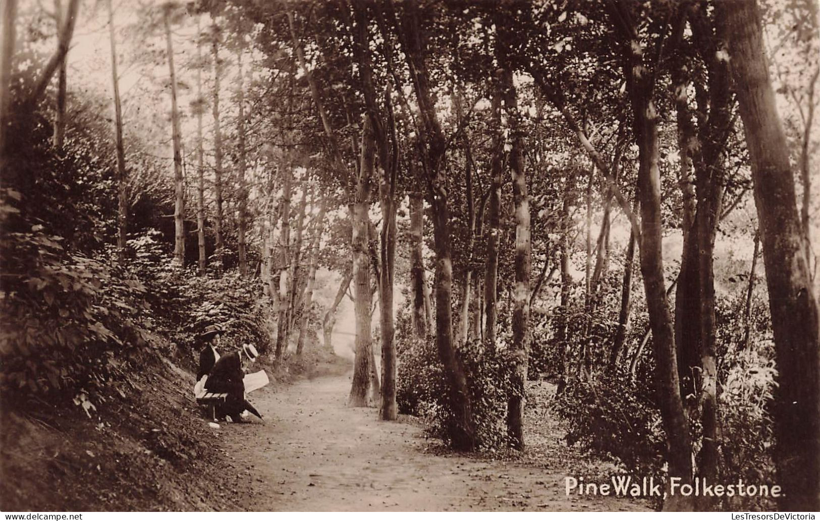 ROYAUME-UNI - Angleterre - Folkestone - Pine Walk - Carte Postale Ancienne - Sonstige & Ohne Zuordnung