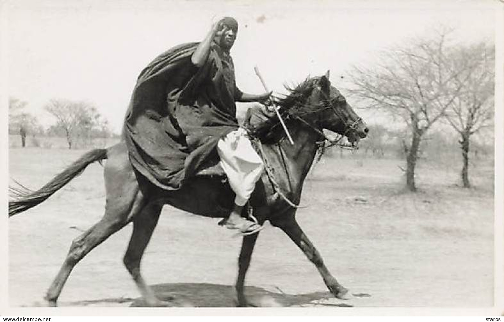 Côte D'Ivoire - Touareg Sur Son Cheval Dans Un Paysage D'Epineux - Frontière Nigérienne - Côte-d'Ivoire