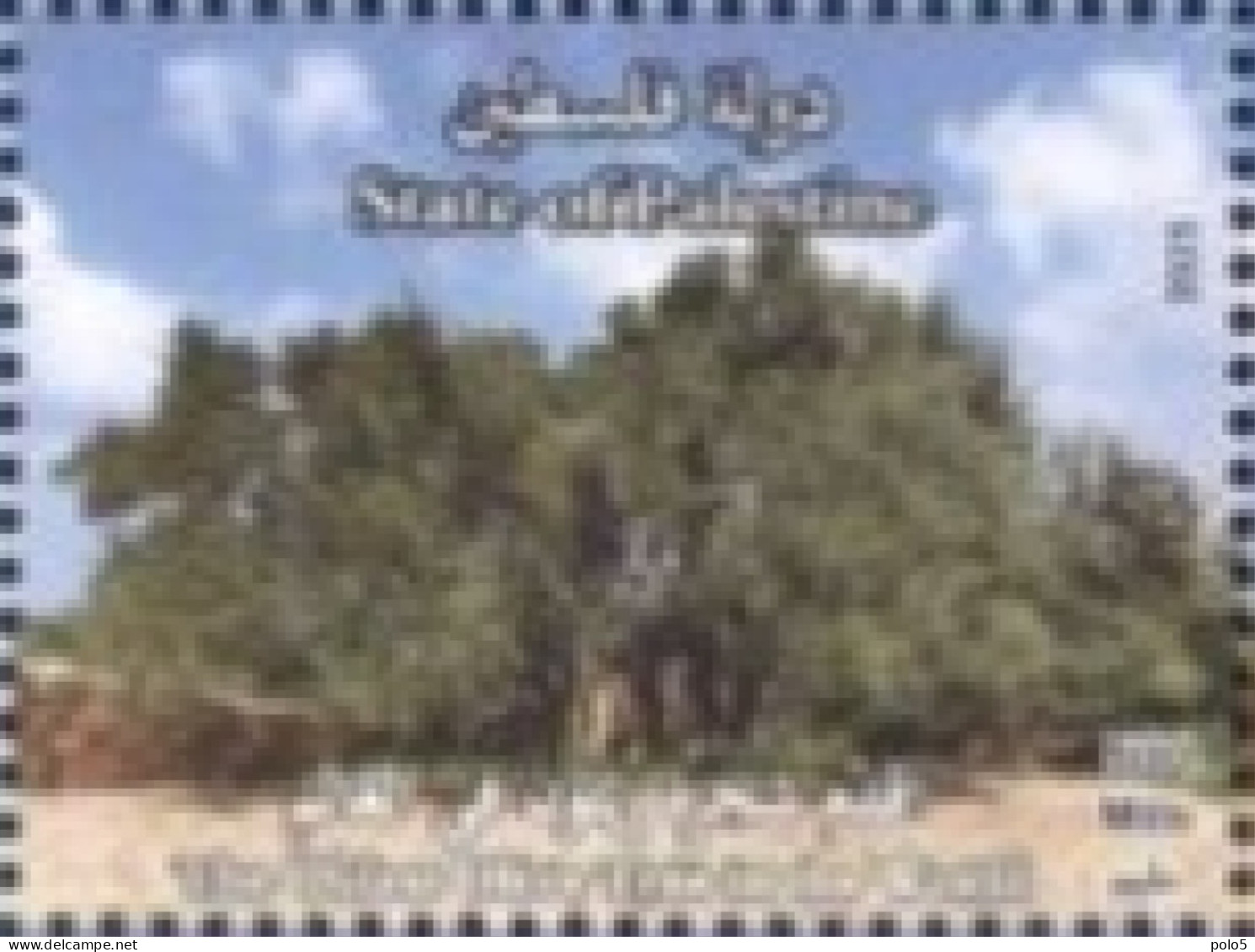 Palestine 2023- The Oldest Olive Tree Set (1v) - Palestine