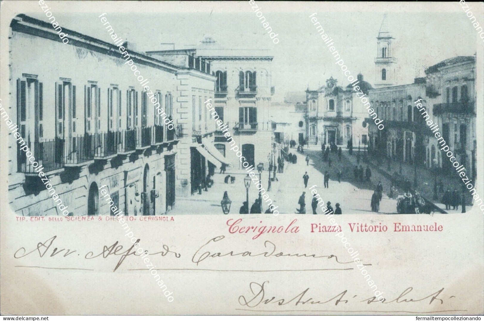 Cp10 Cartolina Cerignola Piazza Vittorio Emanuele Provincia Di Foggia 1900 - Foggia