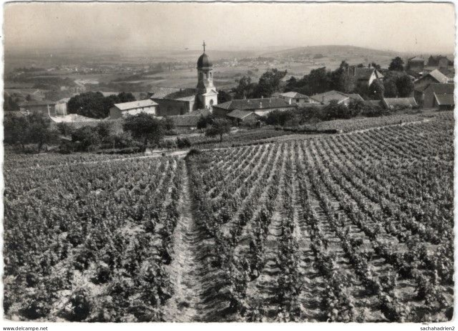 69. Gf. CHIROUBLES. Vue Générale. 45645 - Chiroubles