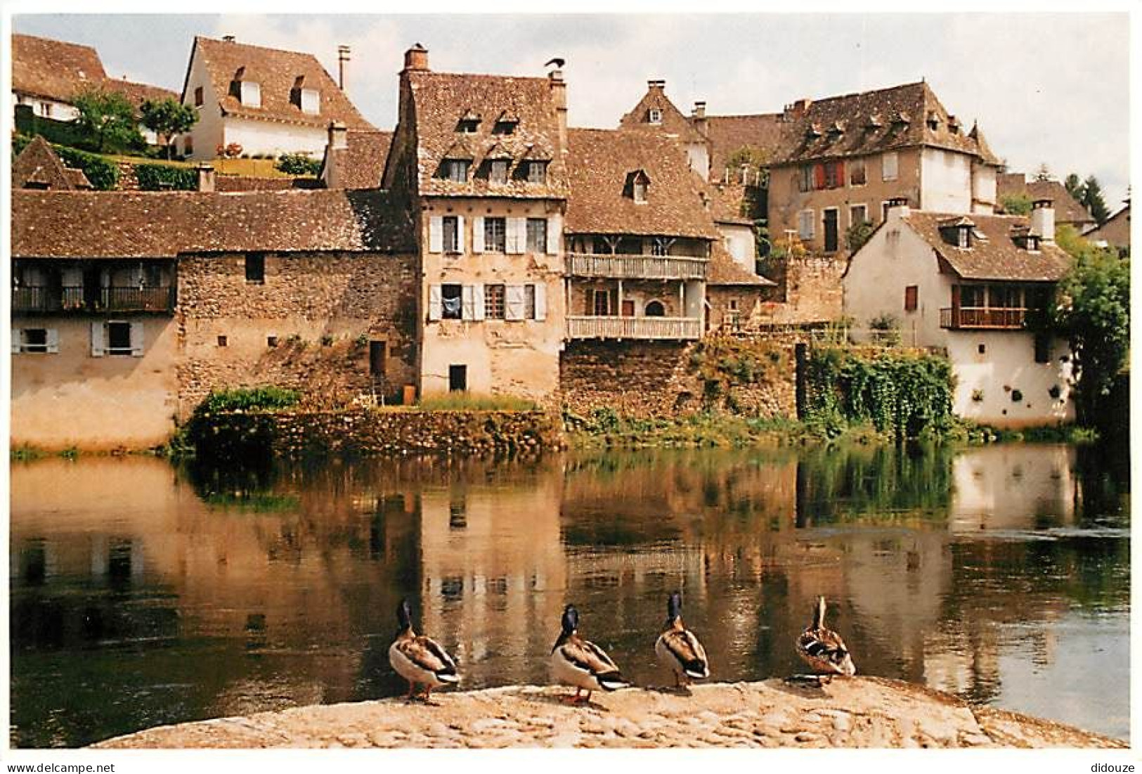 19 - Argentat - Balade Au Fil De La Dordogne - Canards - Carte Neuve - CPM - Voir Scans Recto-Verso - Argentat