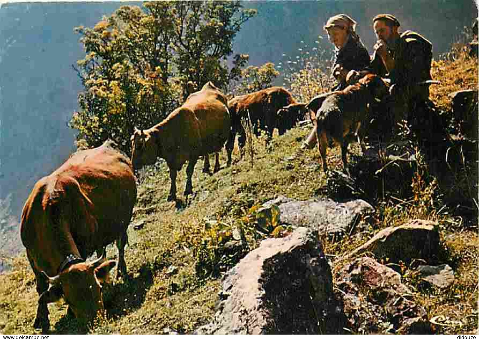 Animaux - Vaches - Paturages - Chiens - Paysans - Carte Neuve - CPM - Voir Scans Recto-Verso - Vaches