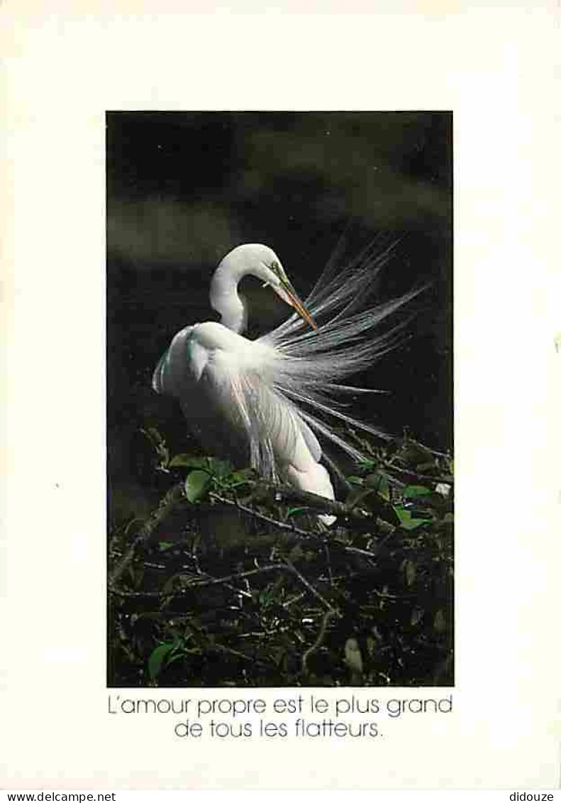 Animaux - Oiseaux - Grande Aigrette - Carte Neuve - CPM - Voir Scans Recto-Verso - Birds