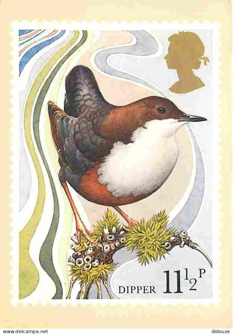 Animaux - Oiseaux - Dessin - Dipper - Reproduced From A Stamp Designed By Michael Warren - Reproduction De Timbre - CPM  - Birds