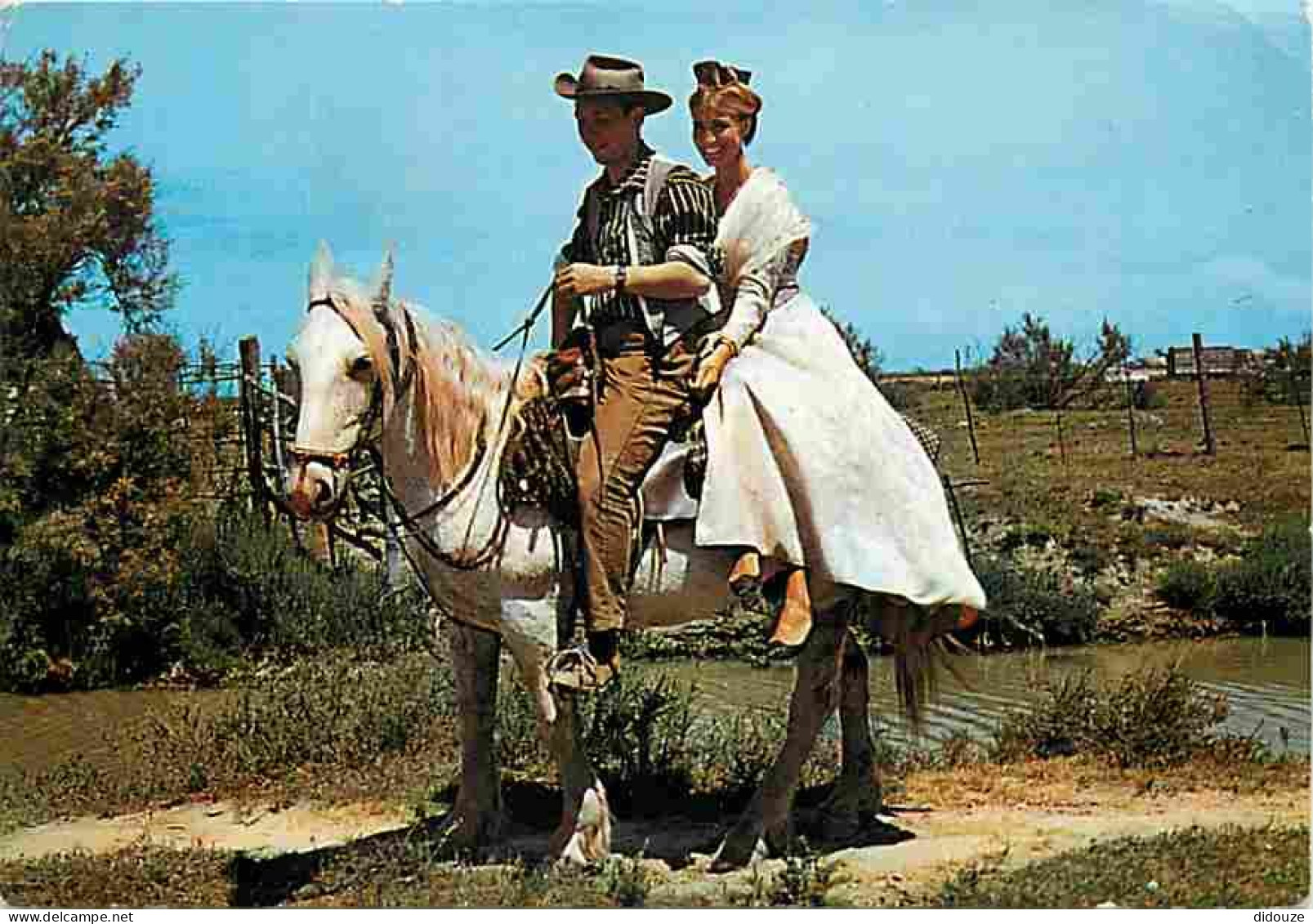 Animaux - Chevaux - Camargue - En Promenade - Gardian - CPM - Voir Scans Recto-Verso - Horses