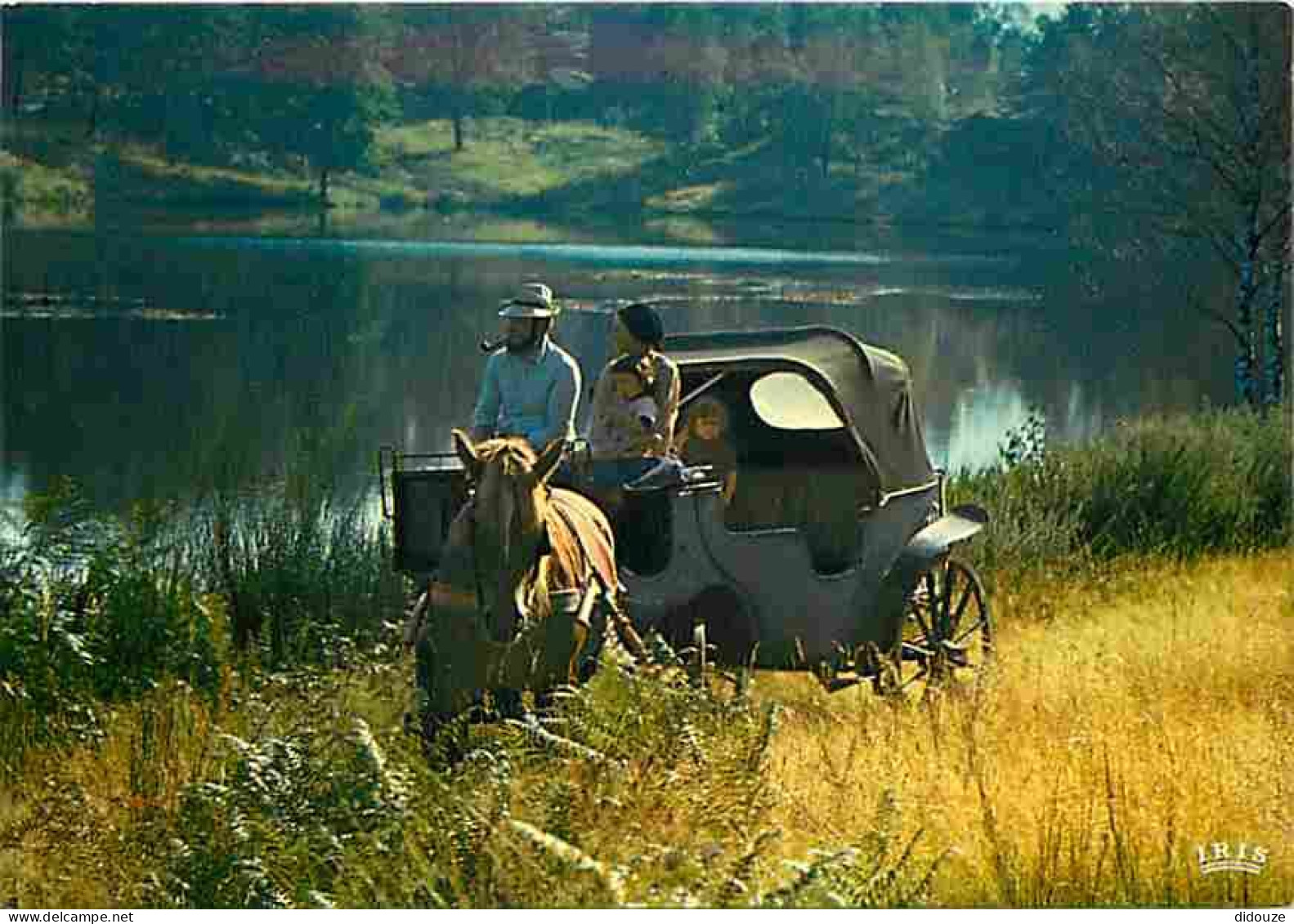 Animaux - Chevaux - Promenade En Calèche - CPM - Voir Scans Recto-Verso - Cavalli