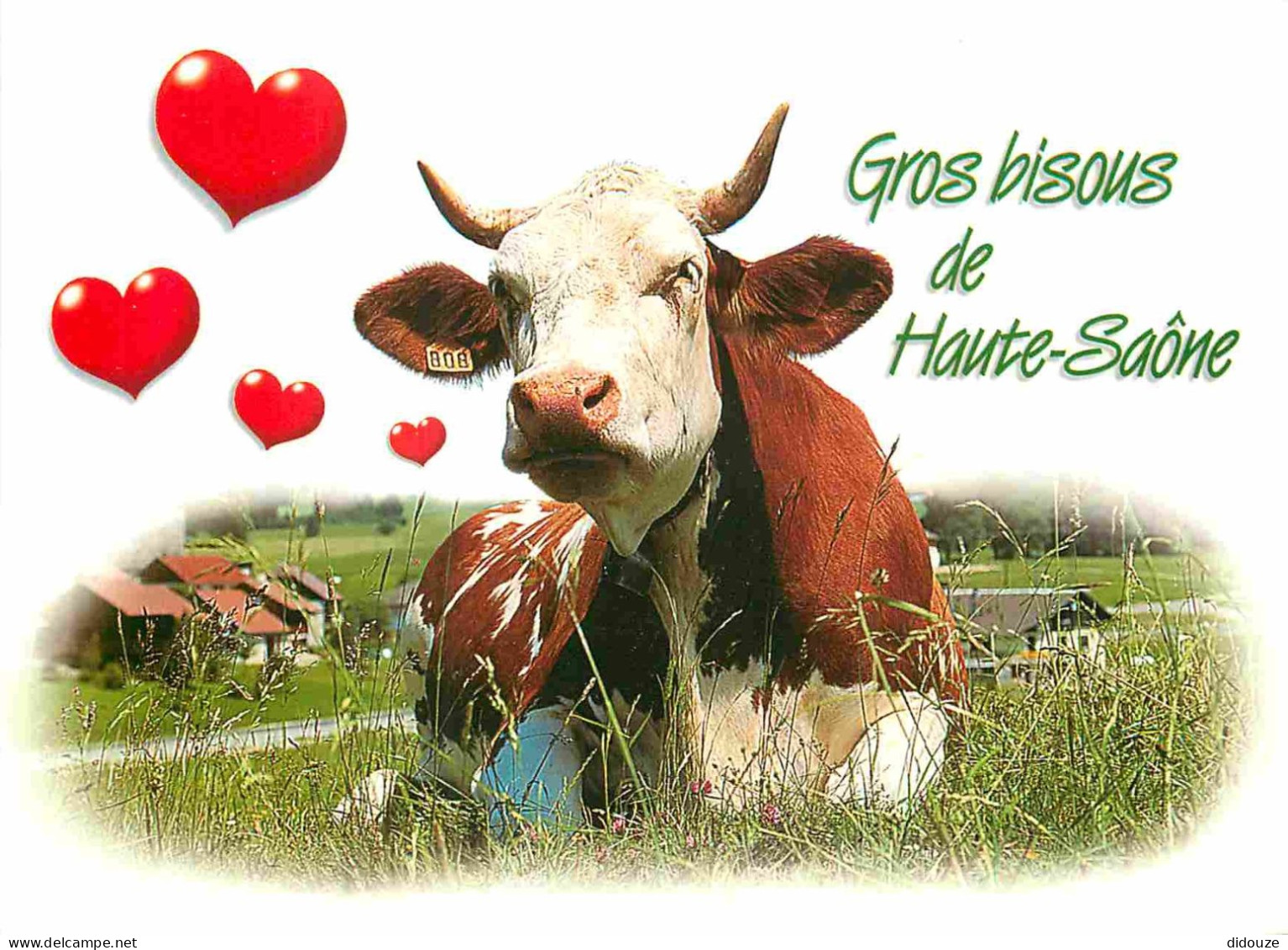 Animaux - Vaches - Carte à Message Humoristique - Haute Saone - CPM - Voir Scans Recto-Verso - Koeien