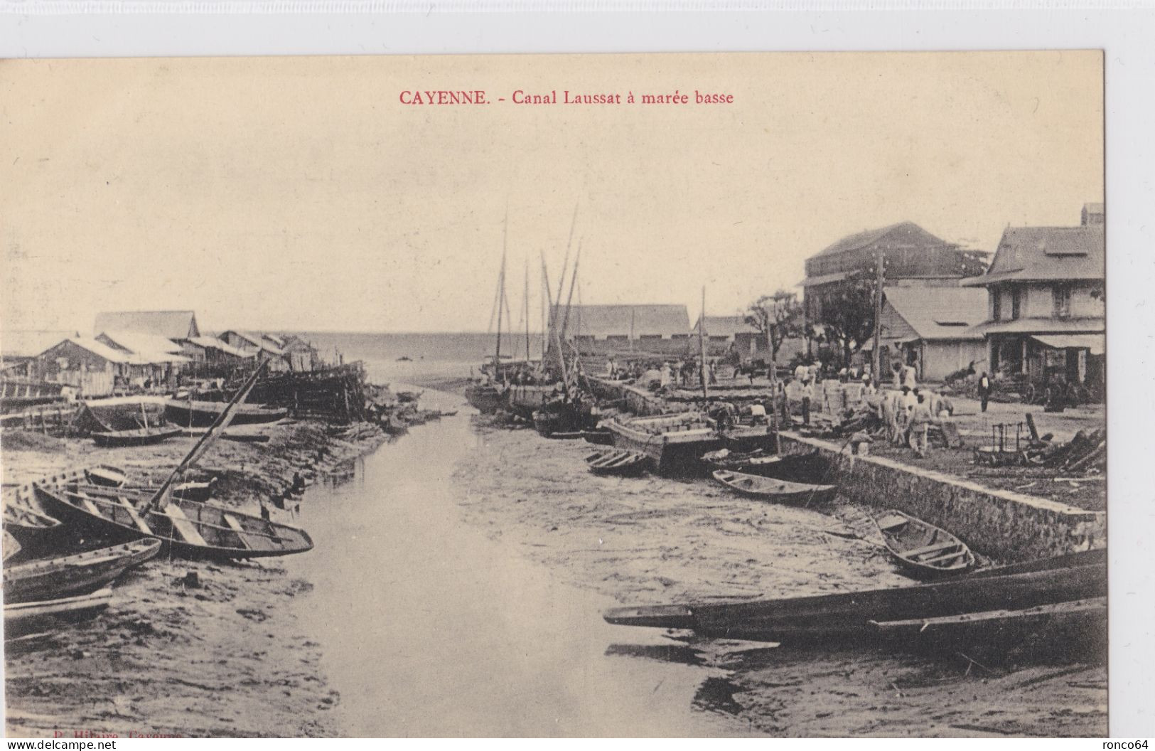 CAYENNE- Canal LAUSSAT, Marée Basse. - Cayenne