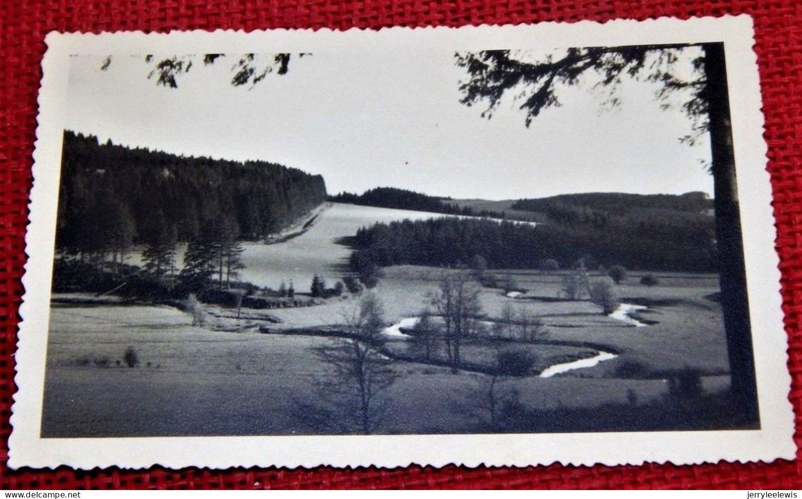 NEUFCHÂTEAU  - 3 CARTES  : Pont En Ruines   Et  2 Cartes Panorama - (Cartes Photos) - Neufchâteau