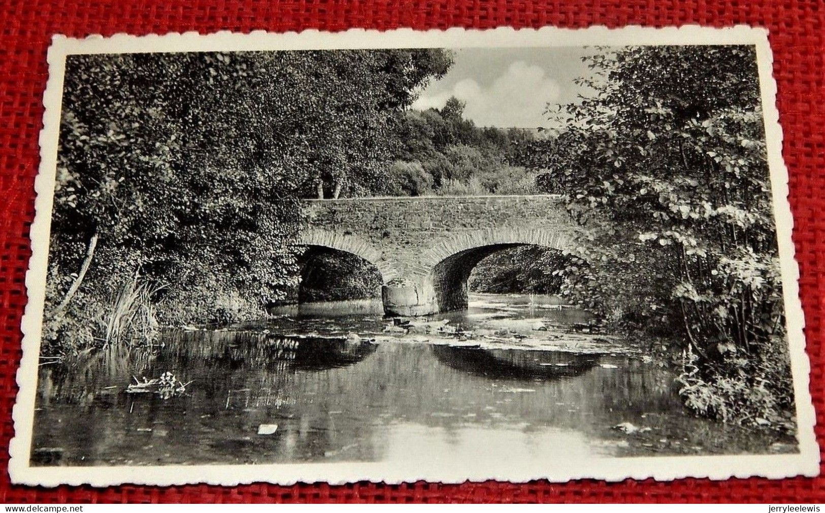 DAVERDISSE  -  Le Pont Du Moulin  -  Vallée De La Lesse  - - Daverdisse