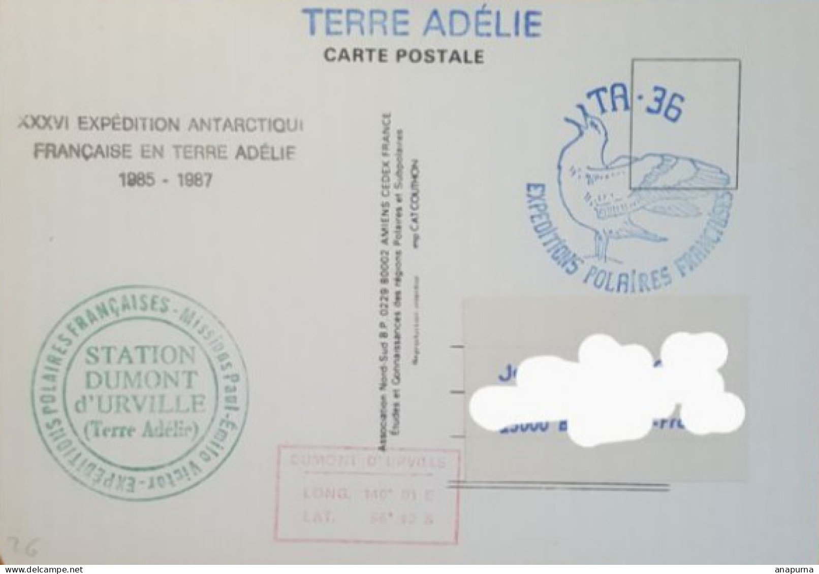 Carte Postale Postée Terre Adélie. EPF Missions Paul Emile Victor, TA 36. 2 CACHETS STATION DD - Lettres & Documents