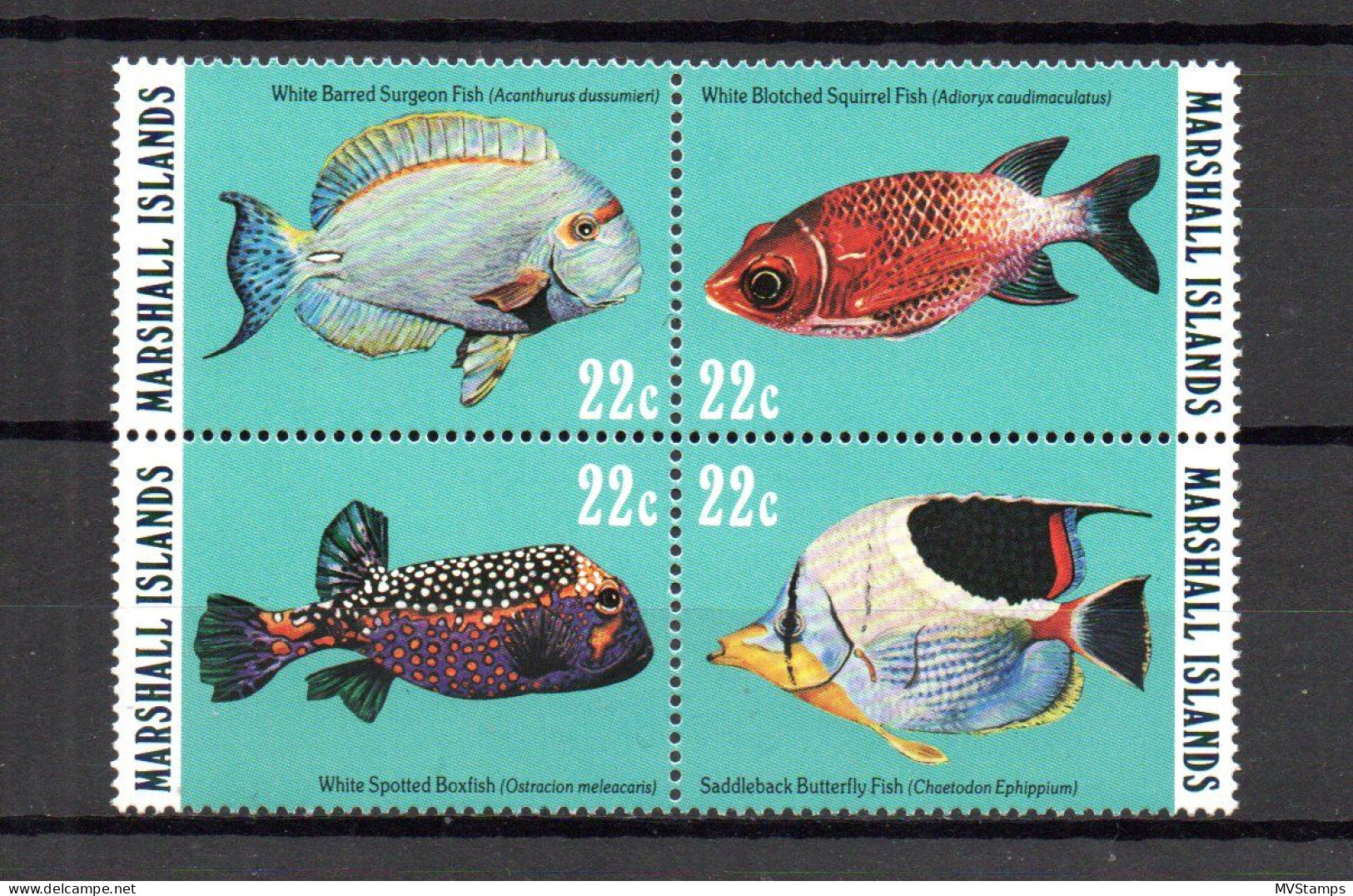 Marshall 1985 Satz 50/53 Fische Postfrisch/MNH - Marshallinseln