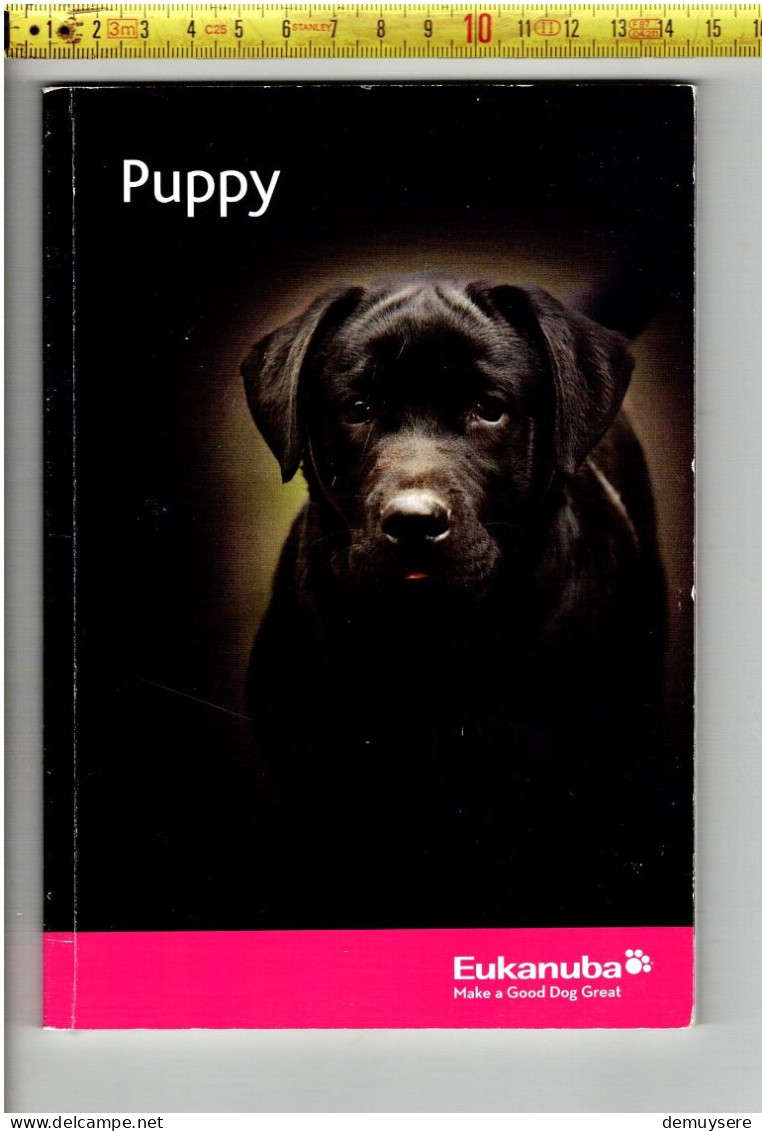 Lade Q - PUPPY - HONDEN - 80 BLZ. VEEL AFBEELDINGEN - Autres & Non Classés