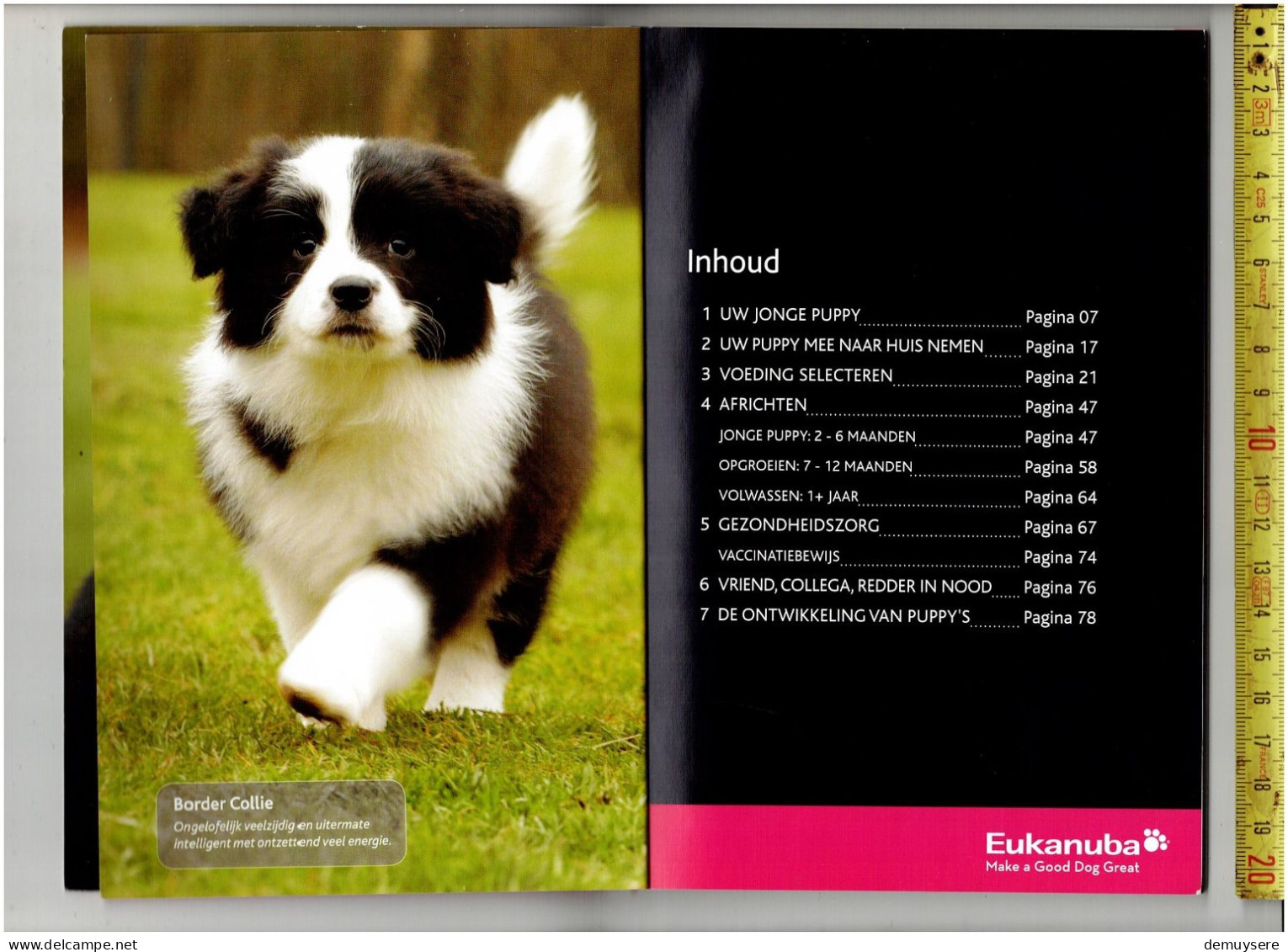 Lade Q - PUPPY - HONDEN - 80 BLZ. VEEL AFBEELDINGEN - Other & Unclassified