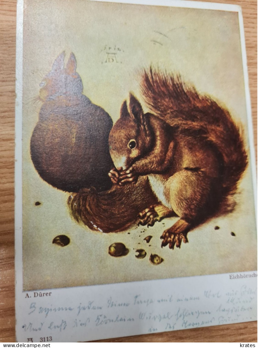 Postcard - Squirrel         (V 37894) - Autres & Non Classés