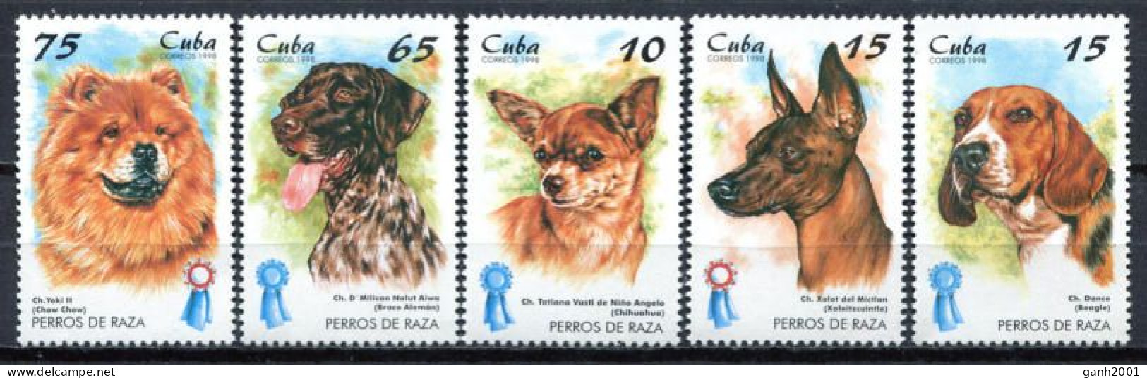 Cuba 1998 / Dogs MNH Perros Hunde Chiens / Cu9809  29-22 - Chiens