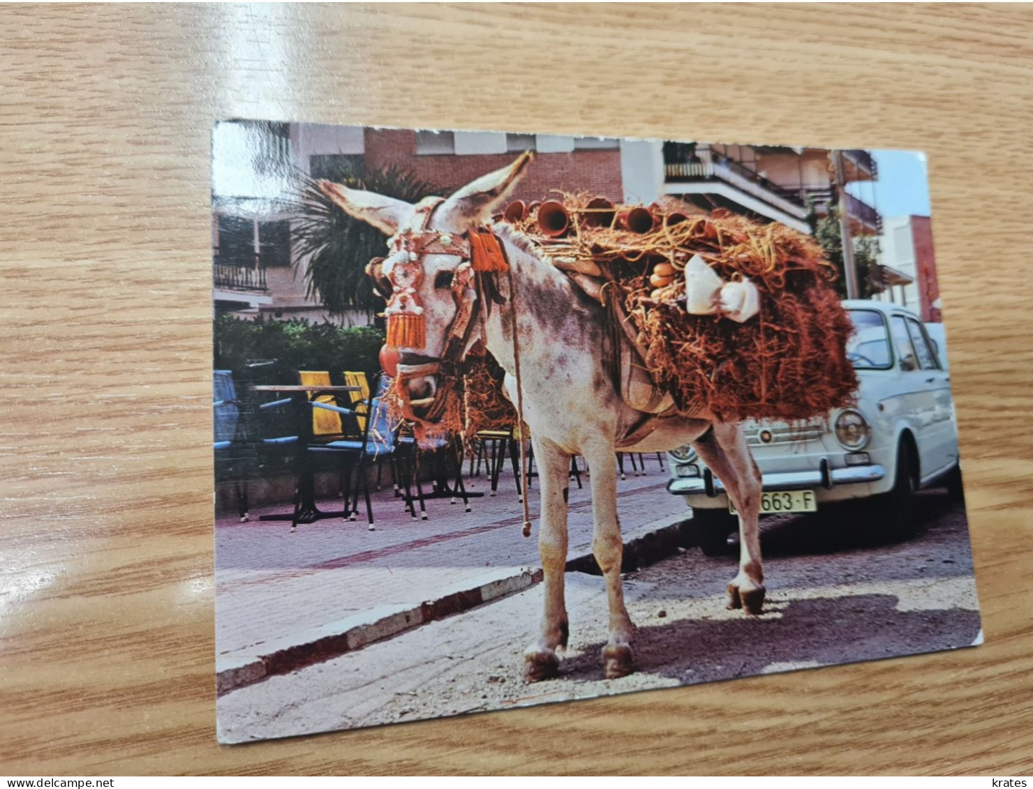 Postcard - Donkey         (V 37899) - Esel