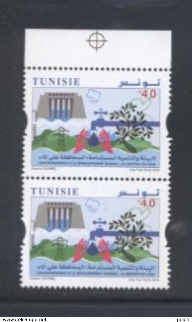 Tunisie 2024- Environnement Et Développement Durable: Gestion De L'eau Paire - Tunisia (1956-...)