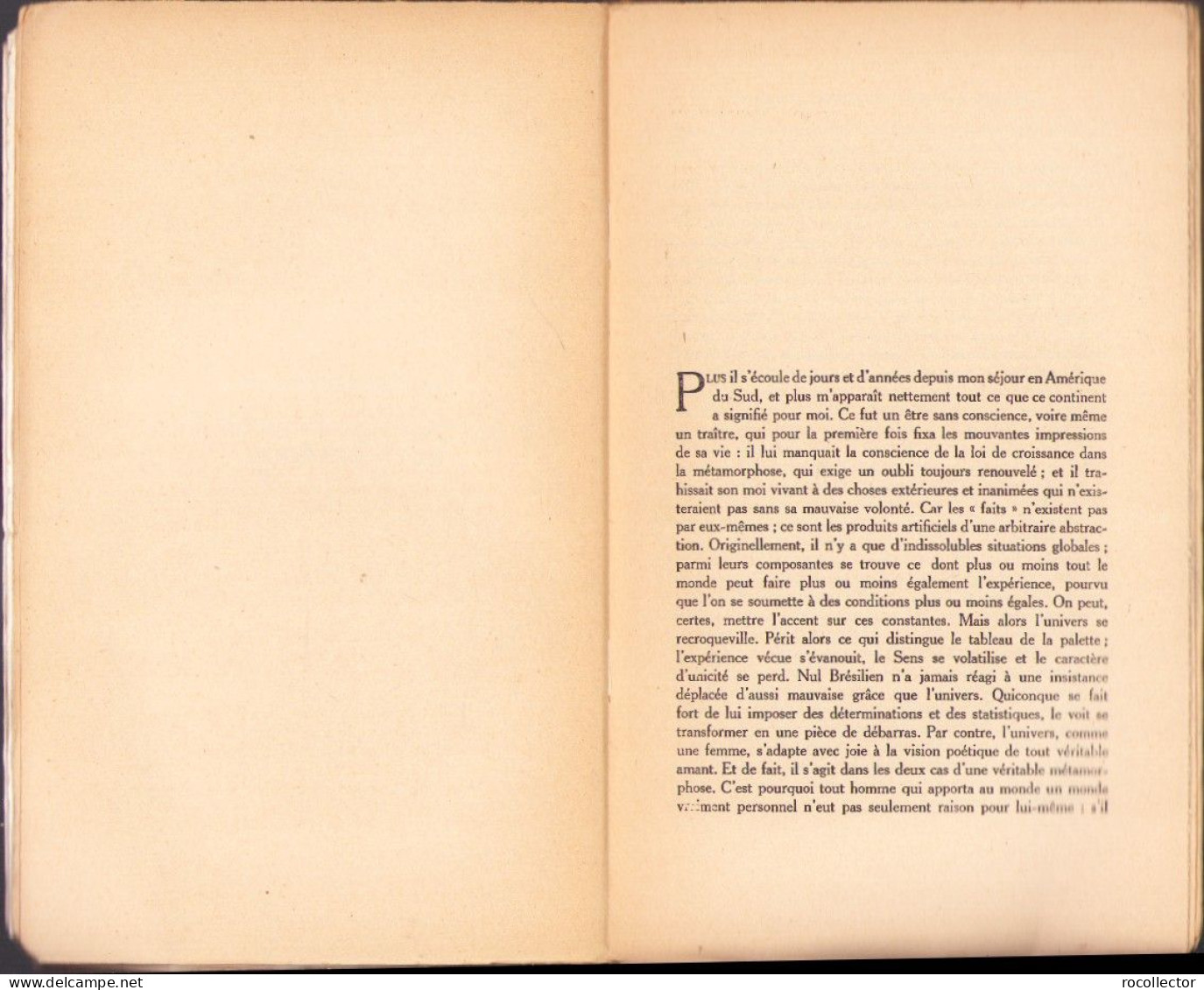 Meditations Sud-americaines Par Hermann De Keyserling 1941 C3937N - Libri Vecchi E Da Collezione