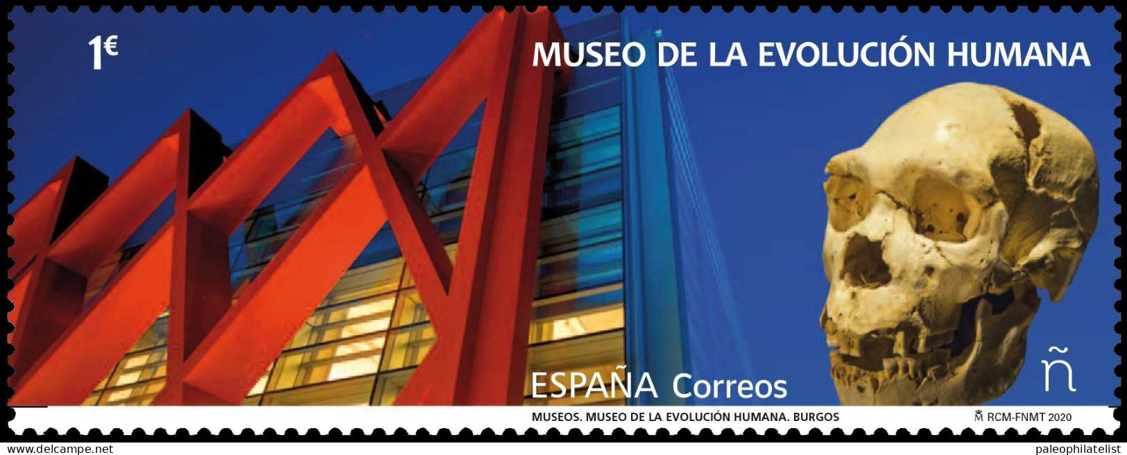 Spain 2020  "Museum Of Human Evolution In Burgos", MNH,  The Human Skull Known As Miguelón., Prehistoric Animal, Human - Préhistoriques