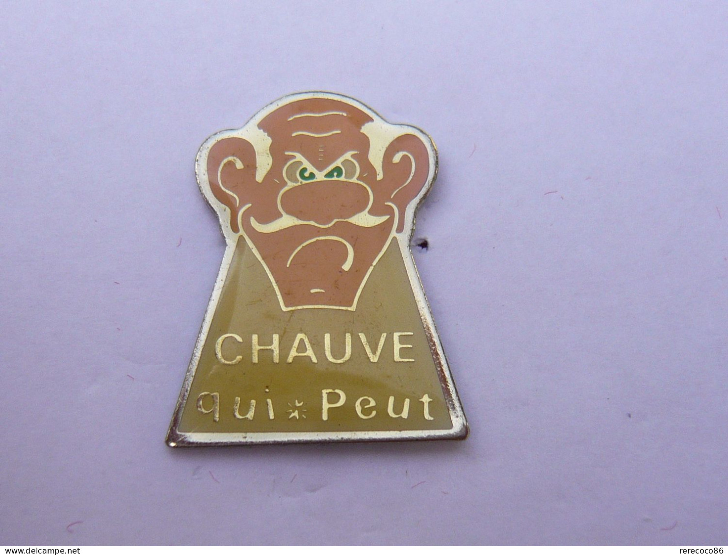 Pins  DICTON CHAUVE QUI PEUT - Sonstige & Ohne Zuordnung